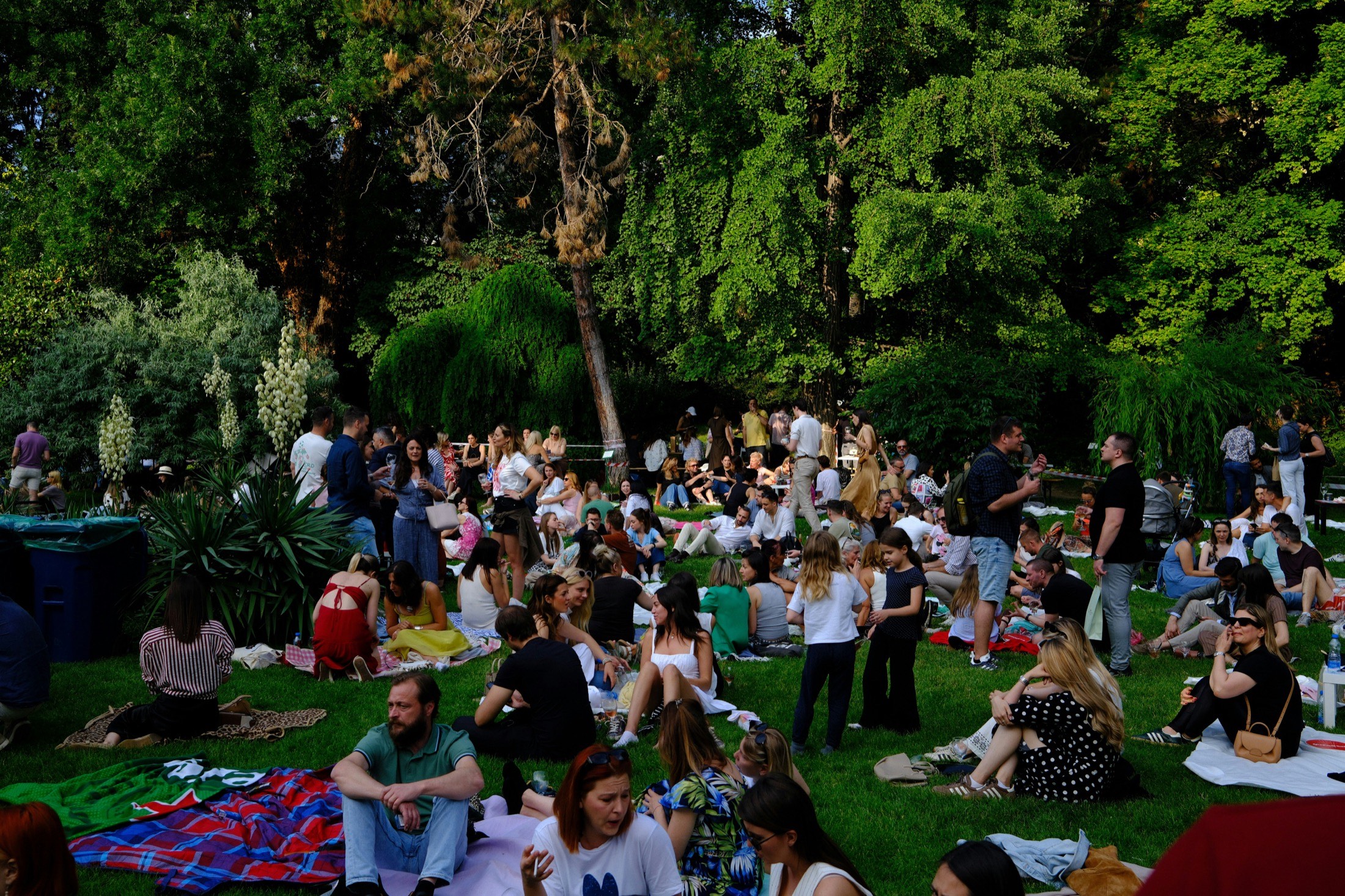 Community members gathered on a park lawn at a summer evening event.