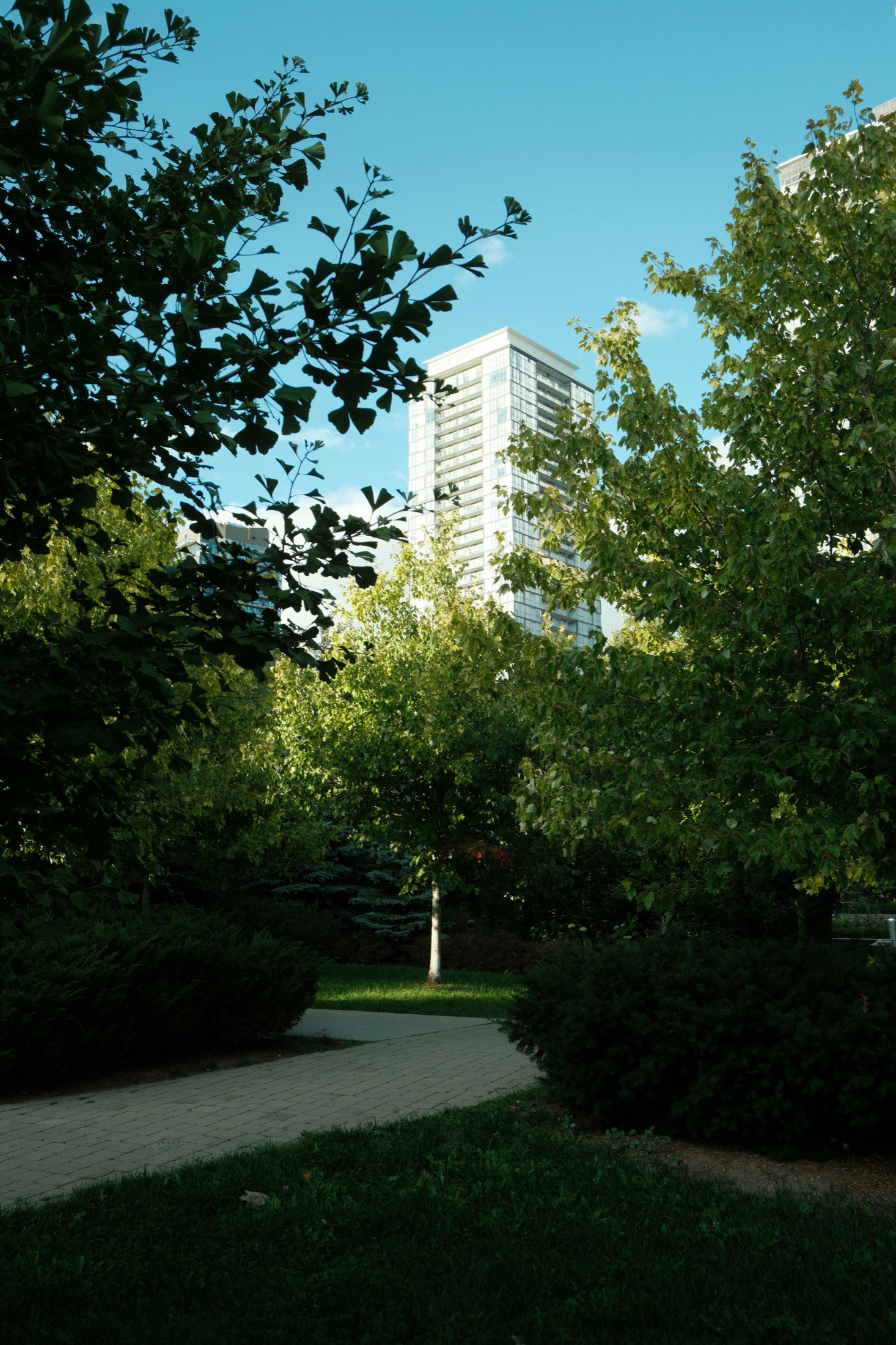 A modern office building rising above trees in a landscaped business park.